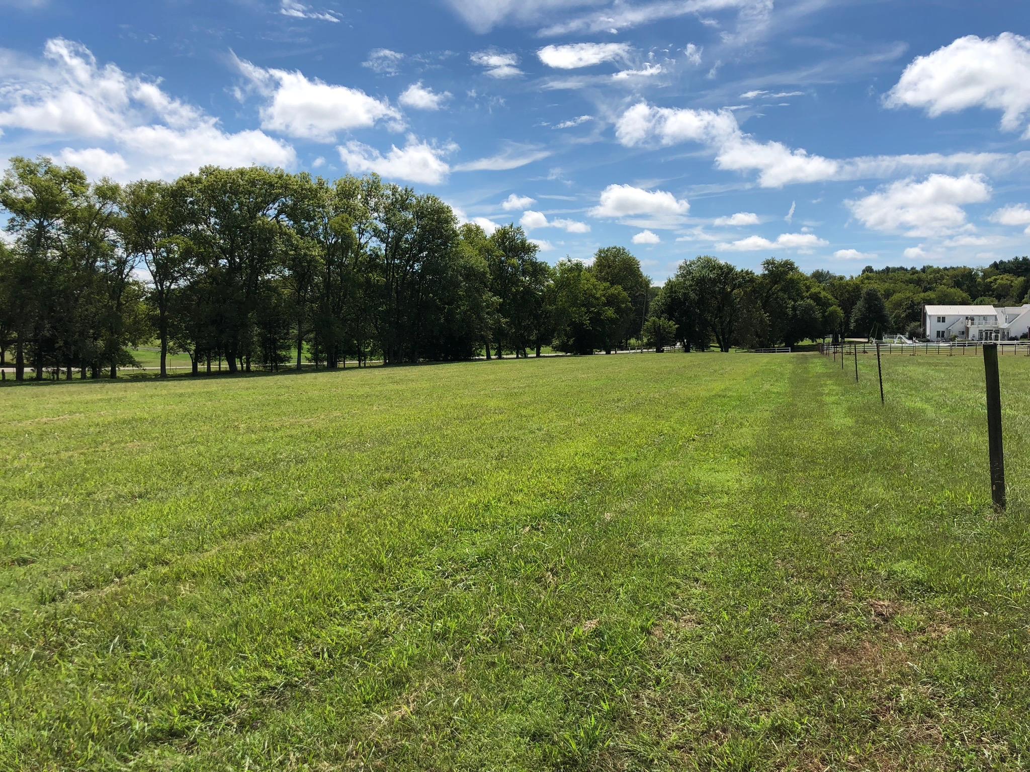 960 Franklin Road Gallatin, TN 37066 - Photo 8 of 21 a view of a big yard