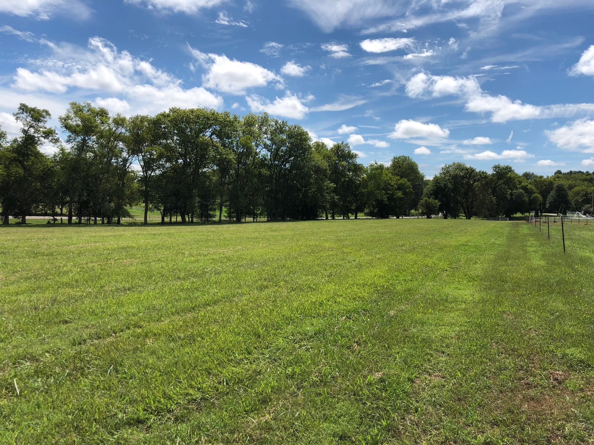 960 Franklin Road Gallatin, TN 37066 - Photo 9 of 21 a view of a grassy field with trees in the background