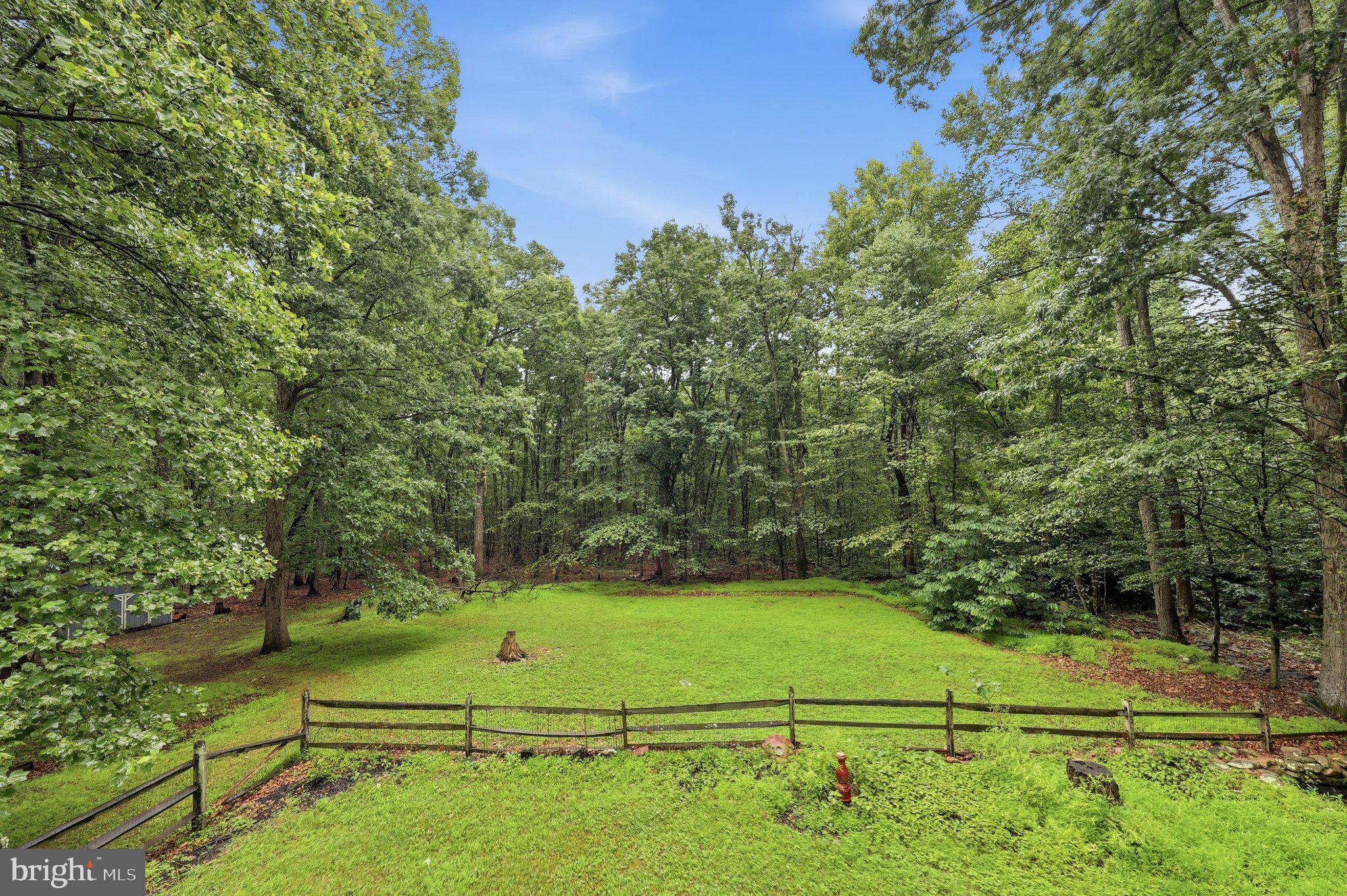 1335 Brown Road Knoxville, MD 21758 - Photo 65 of 68 Deck View