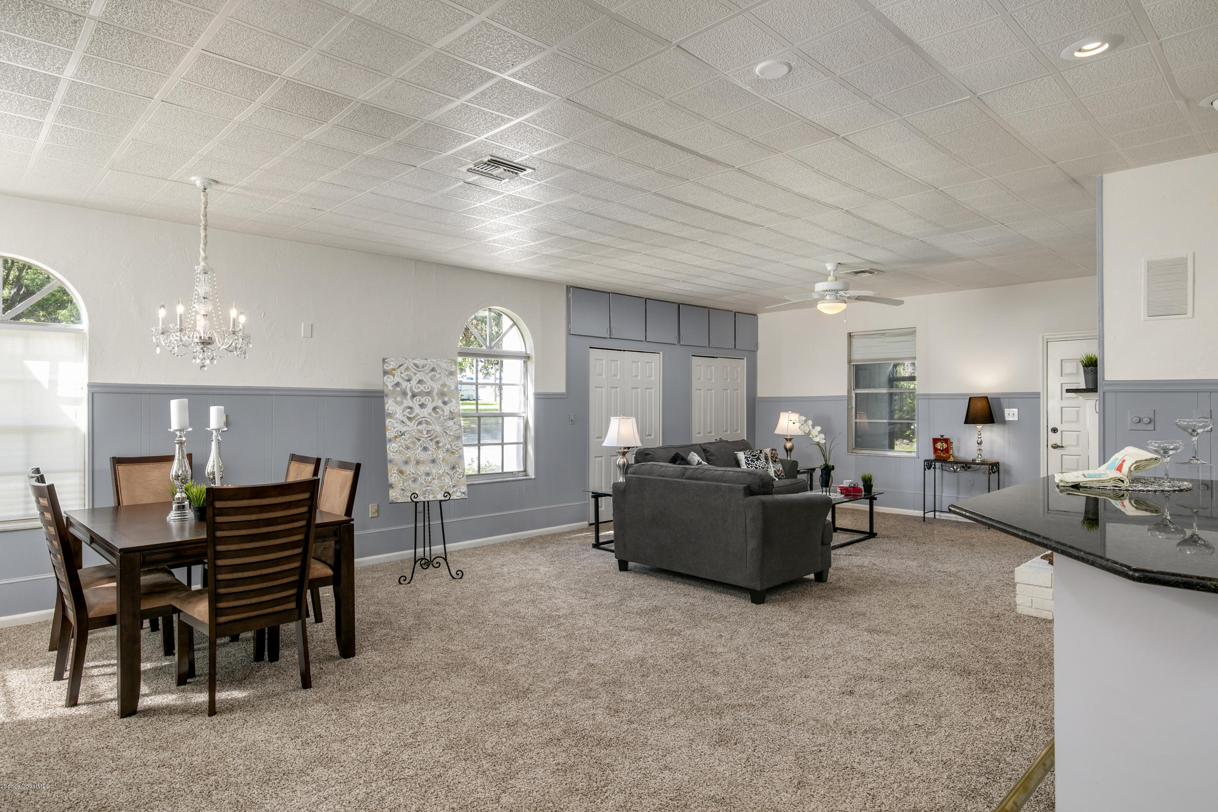 Living and Bar Area