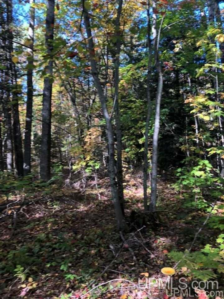 Tbd Whitefish Deerton, MI 49822 - Photo 6 of 8