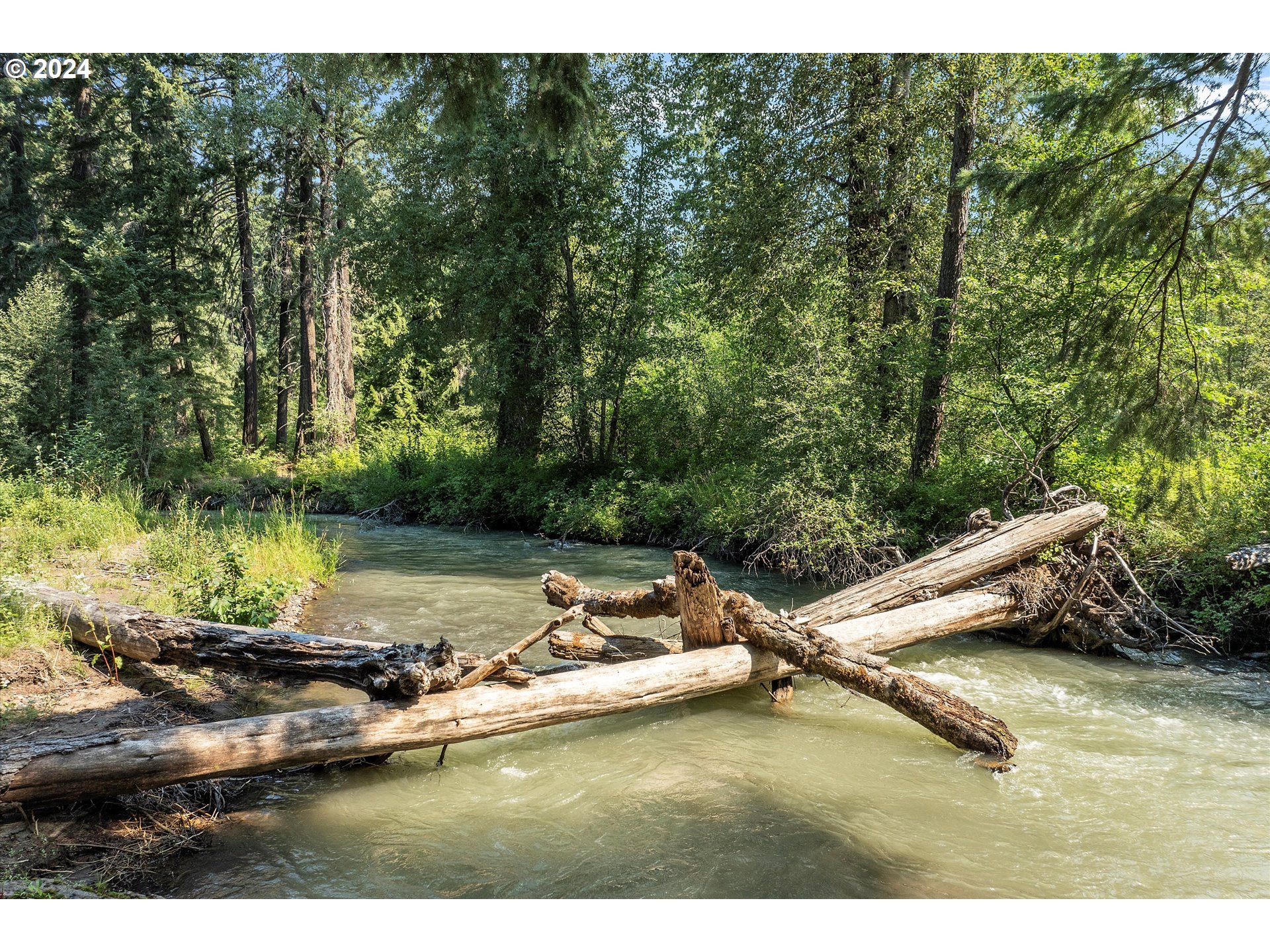 3 Pacific Crest Road Trout Lake, WA 98650 - Photo 3 of 48 River Access