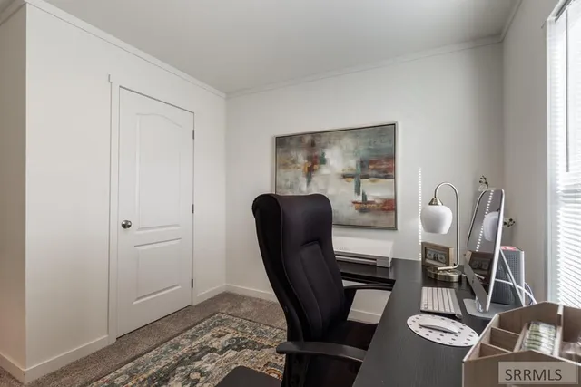 $775,000 | 3831 3580 West, Moore, ID 83255