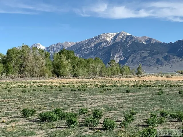 $775,000 | 3831 3580 West, Moore, ID 83255