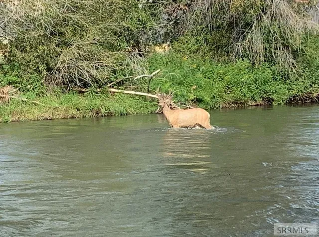 $775,000 | 3831 3580 West, Moore, ID 83255