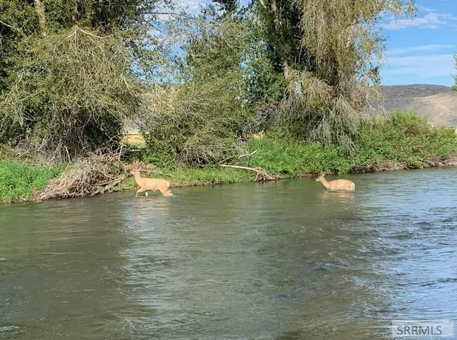 $775,000 | 3831 3580 West, Moore, ID 83255