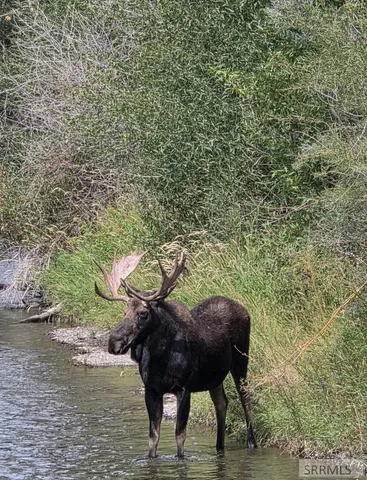 $775,000 | 3831 3580 West, Moore, ID 83255