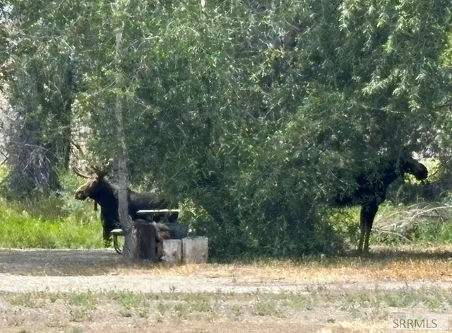 $775,000 | 3831 3580 West, Moore, ID 83255