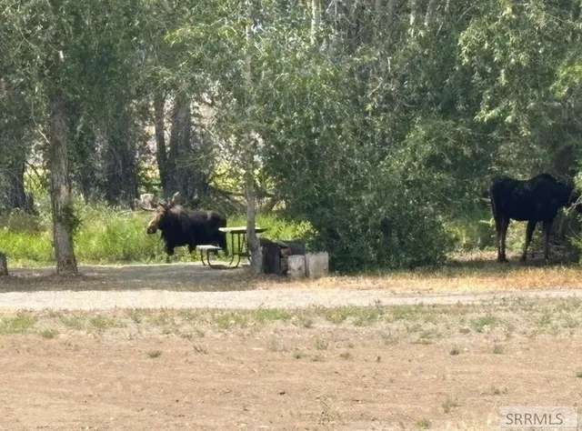 $775,000 | 3831 3580 West, Moore, ID 83255