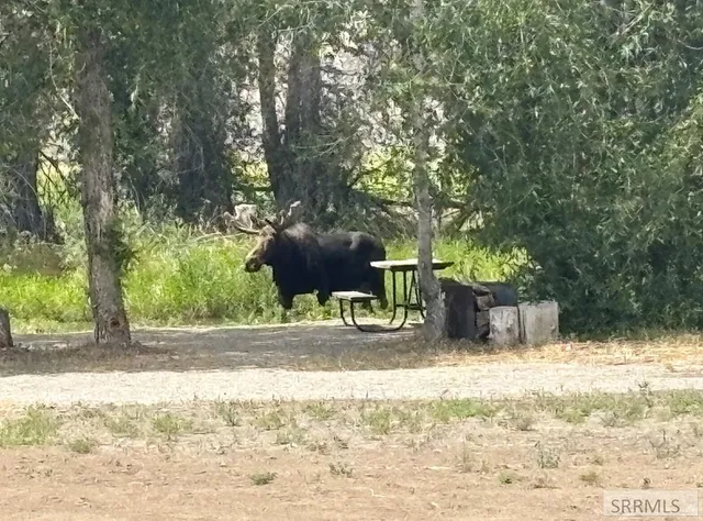 $775,000 | 3831 3580 West, Moore, ID 83255