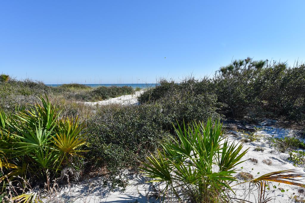 2116 Sea Fern Way St. George Island, FL 32328 - Photo 3 of 21