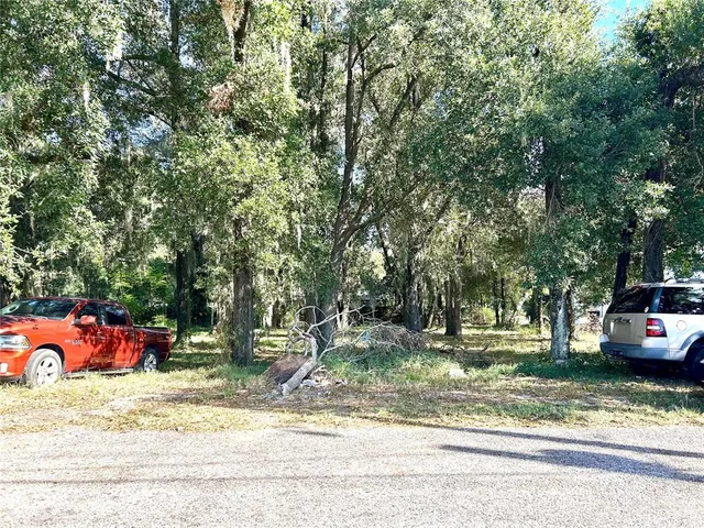a view of a park with large trees