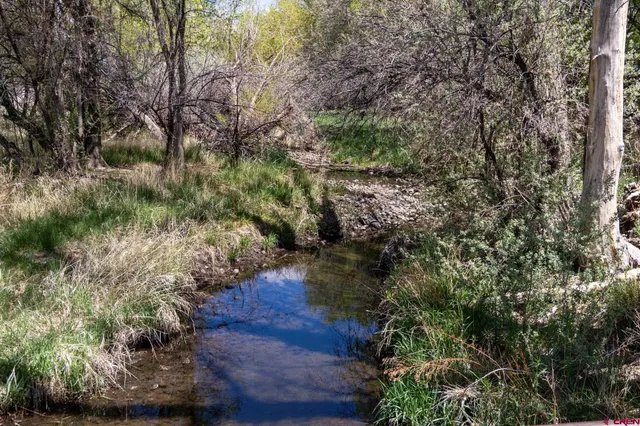 a view of a house with a park