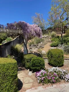 a view of a garden with a lot of flower plants and wooden fence