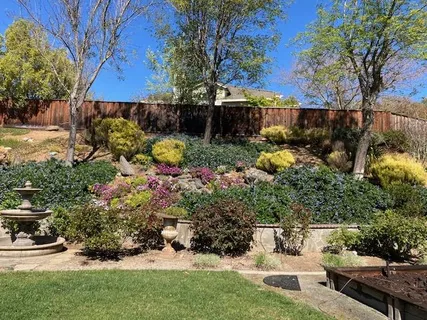 a view of a garden with flowers and tree