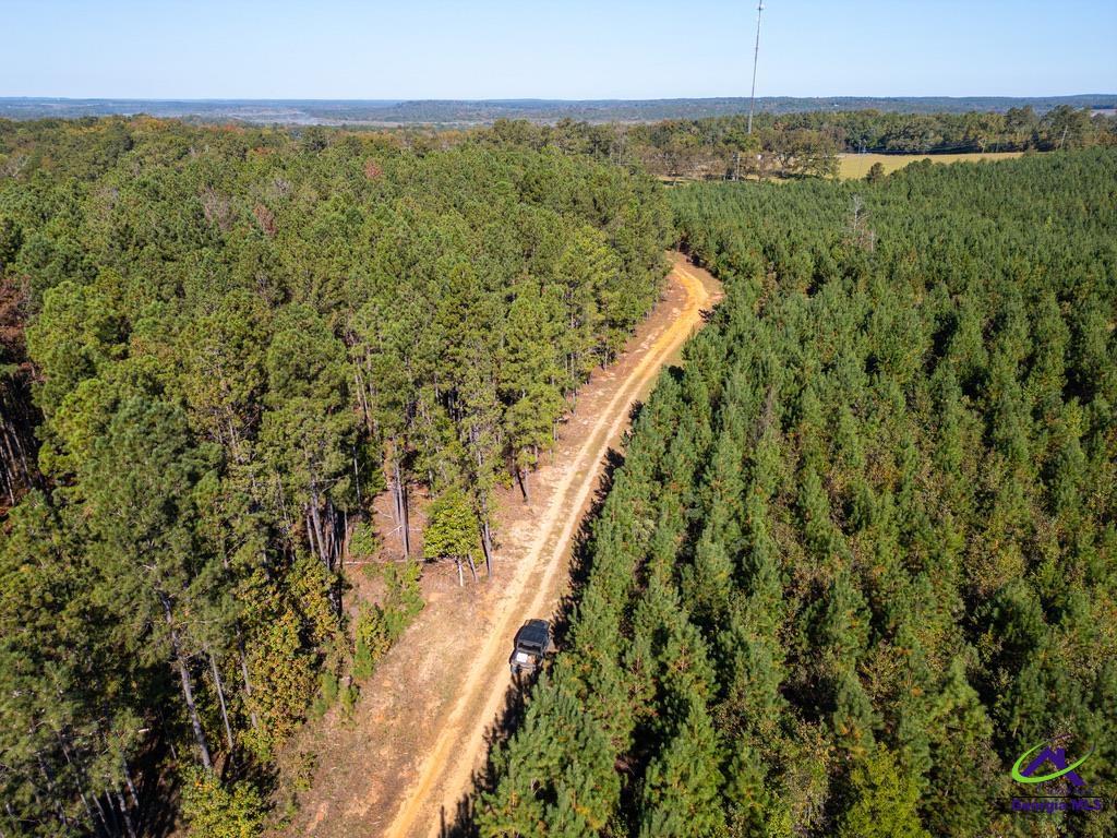 1190 Wriley Road McIntyre, GA 31054 - Photo 23 of 25