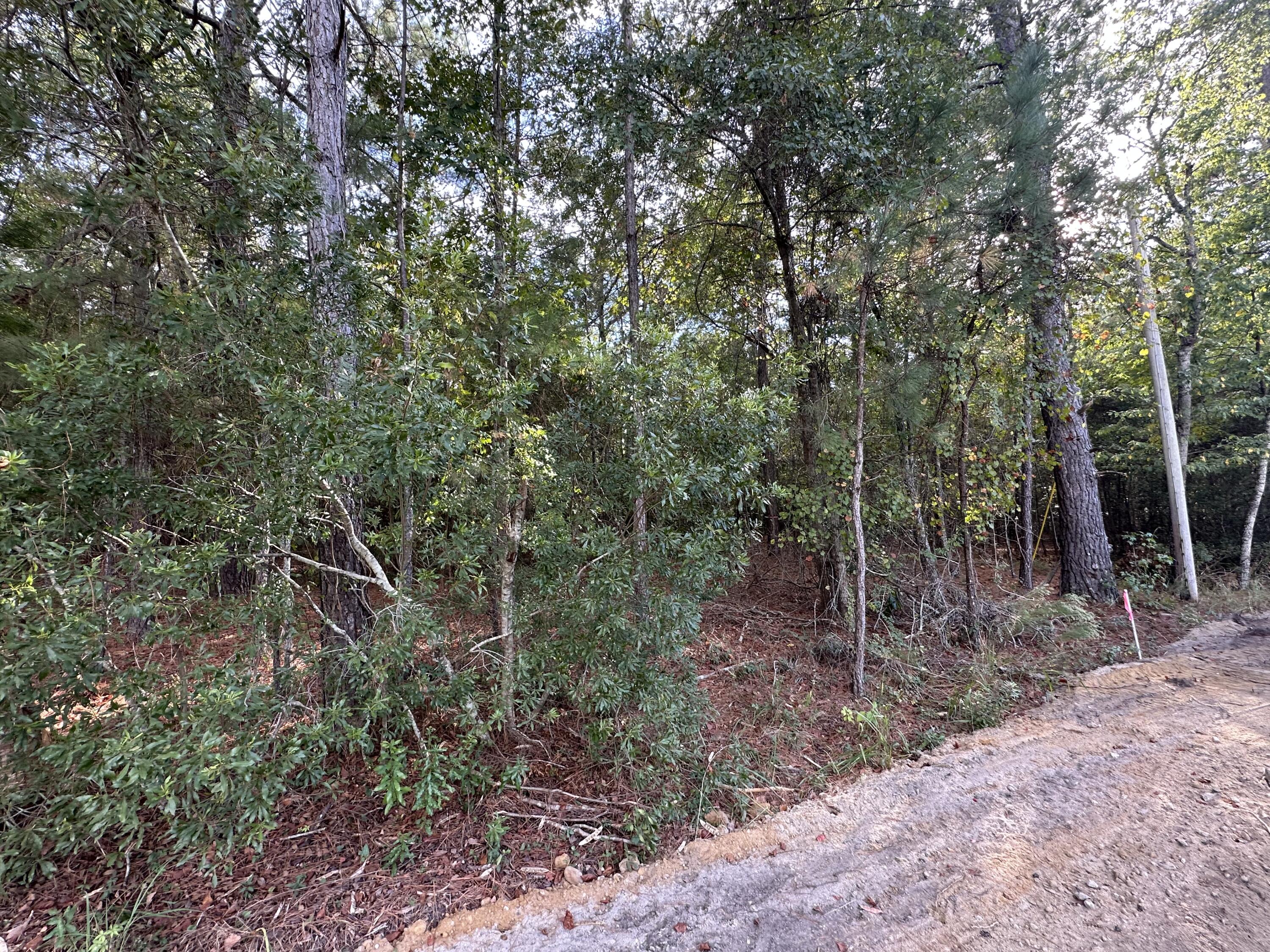 6 Hudson Summerton, SC 29148 - Photo 3 of 9