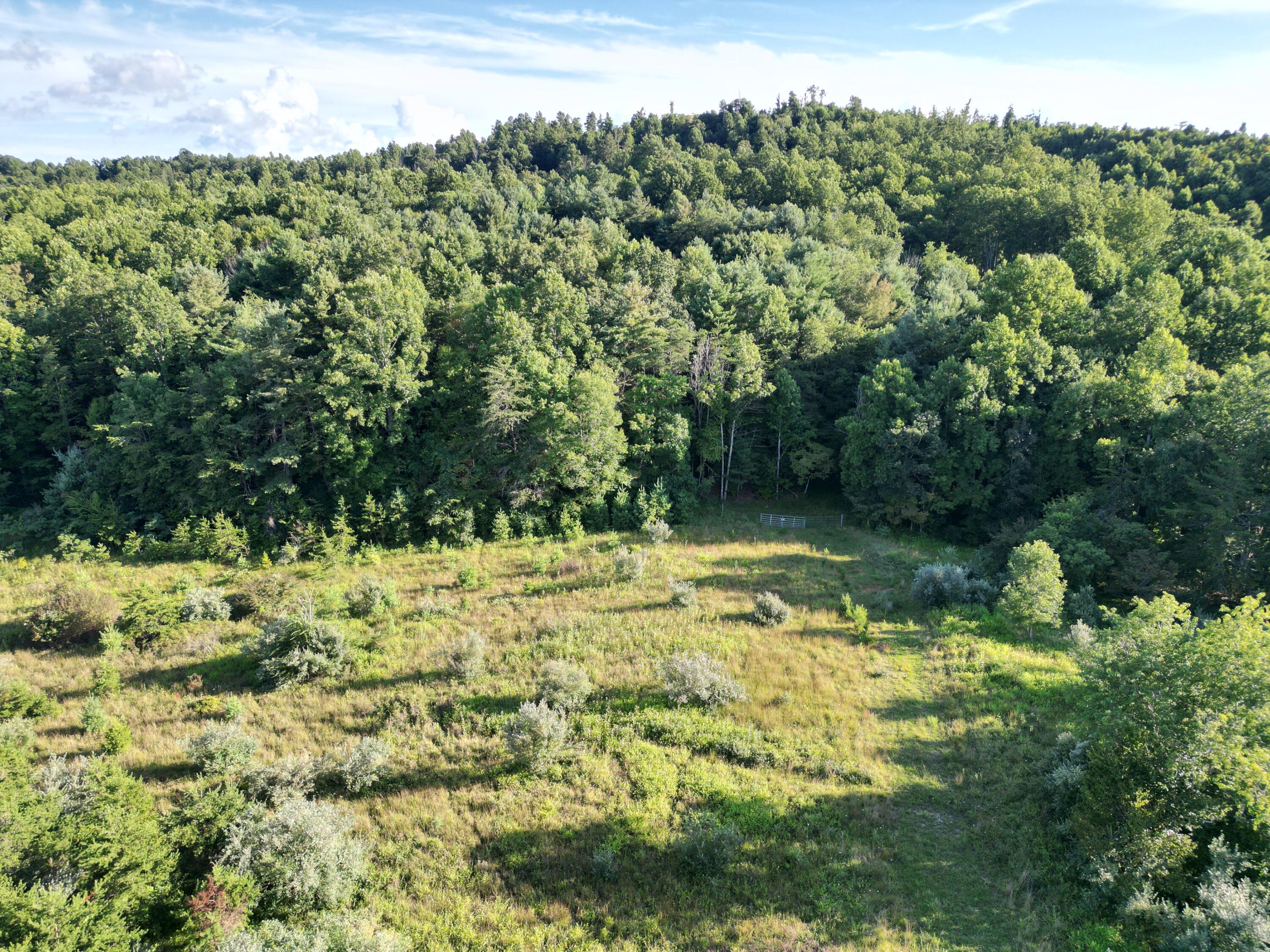 0 Claytor Road Northeast Pilot, VA 24138 - Photo 14 of 16 DJI_0903