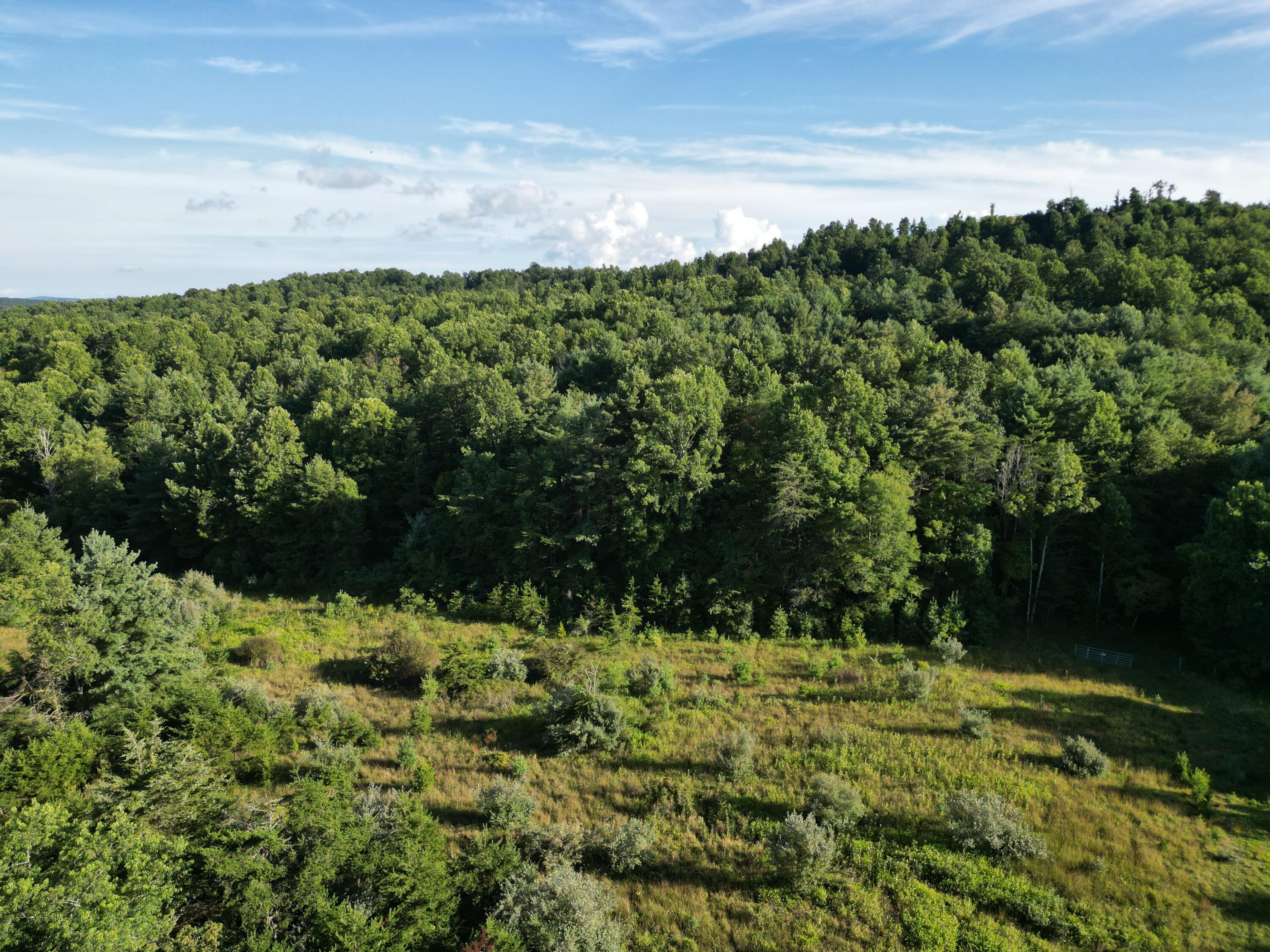 0 Claytor Road Northeast Pilot, VA 24138 - Photo 15 of 16 DJI_0905