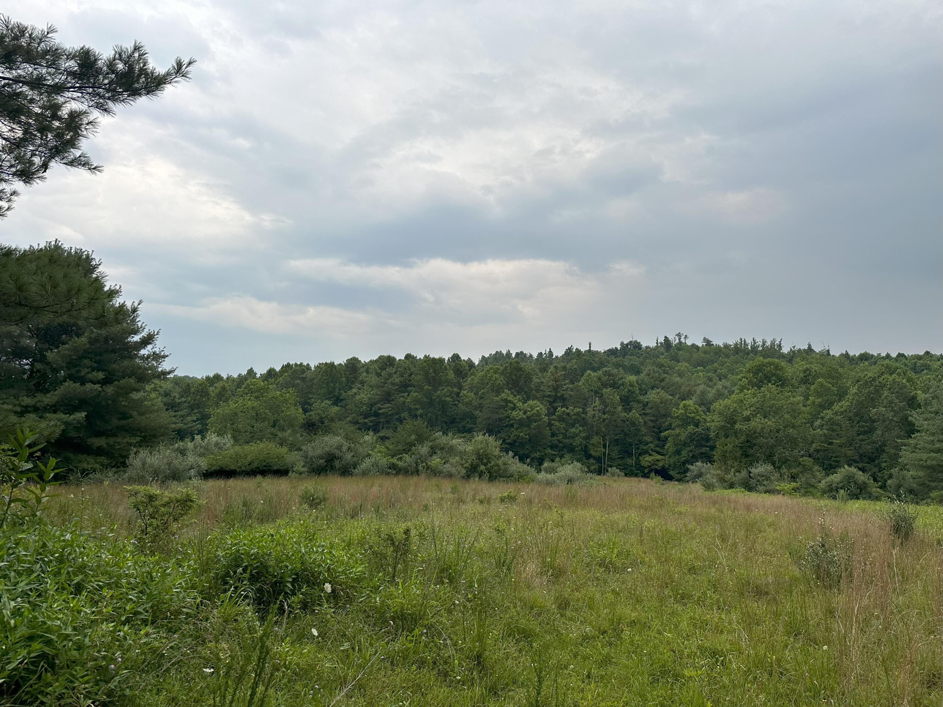0 Claytor Road Northeast Pilot, VA 24138 - Photo 2 of 16 IMG_4784