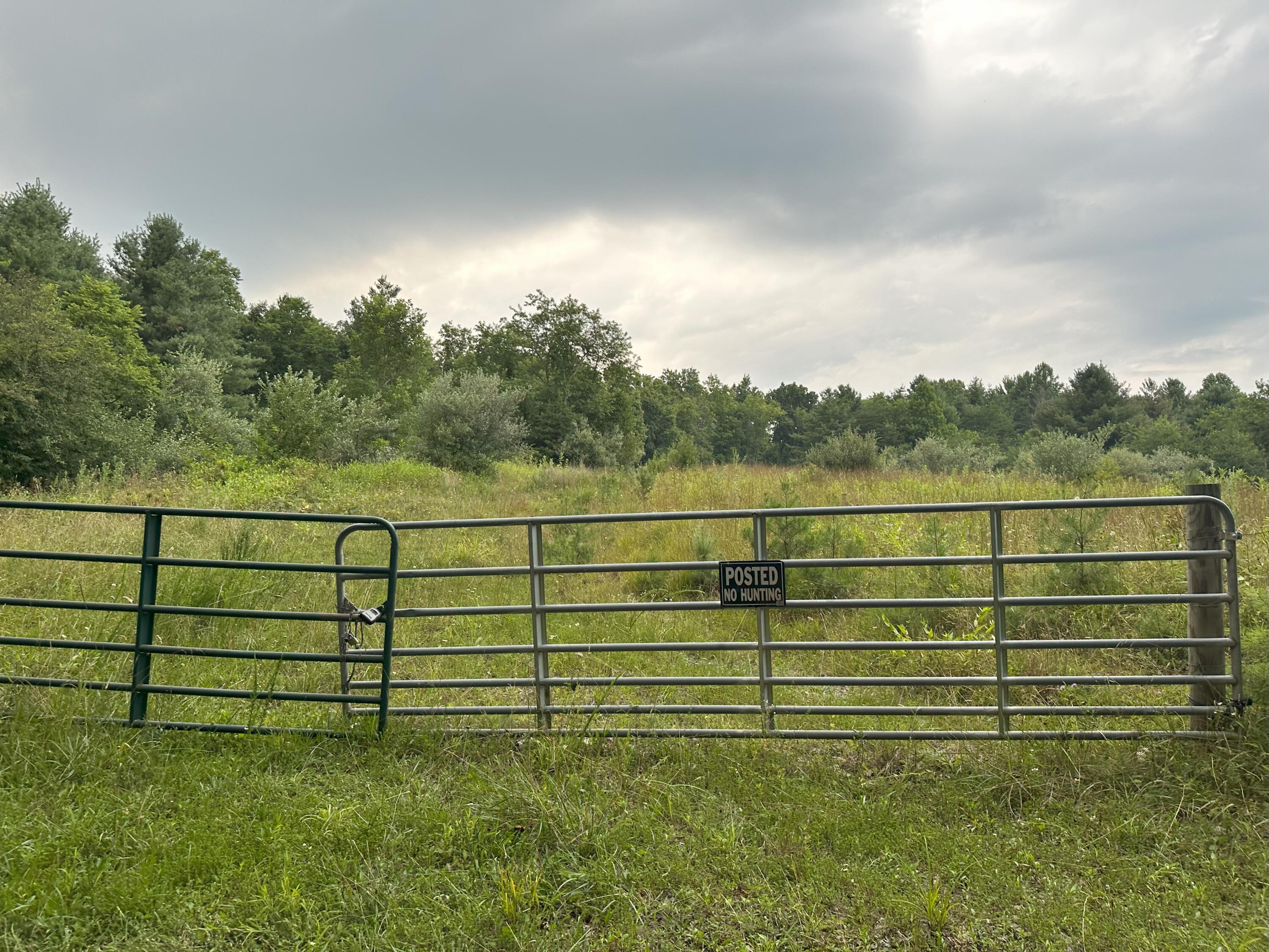 0 Claytor Road Northeast Pilot, VA 24138 - Photo 3 of 16 IMG_4795