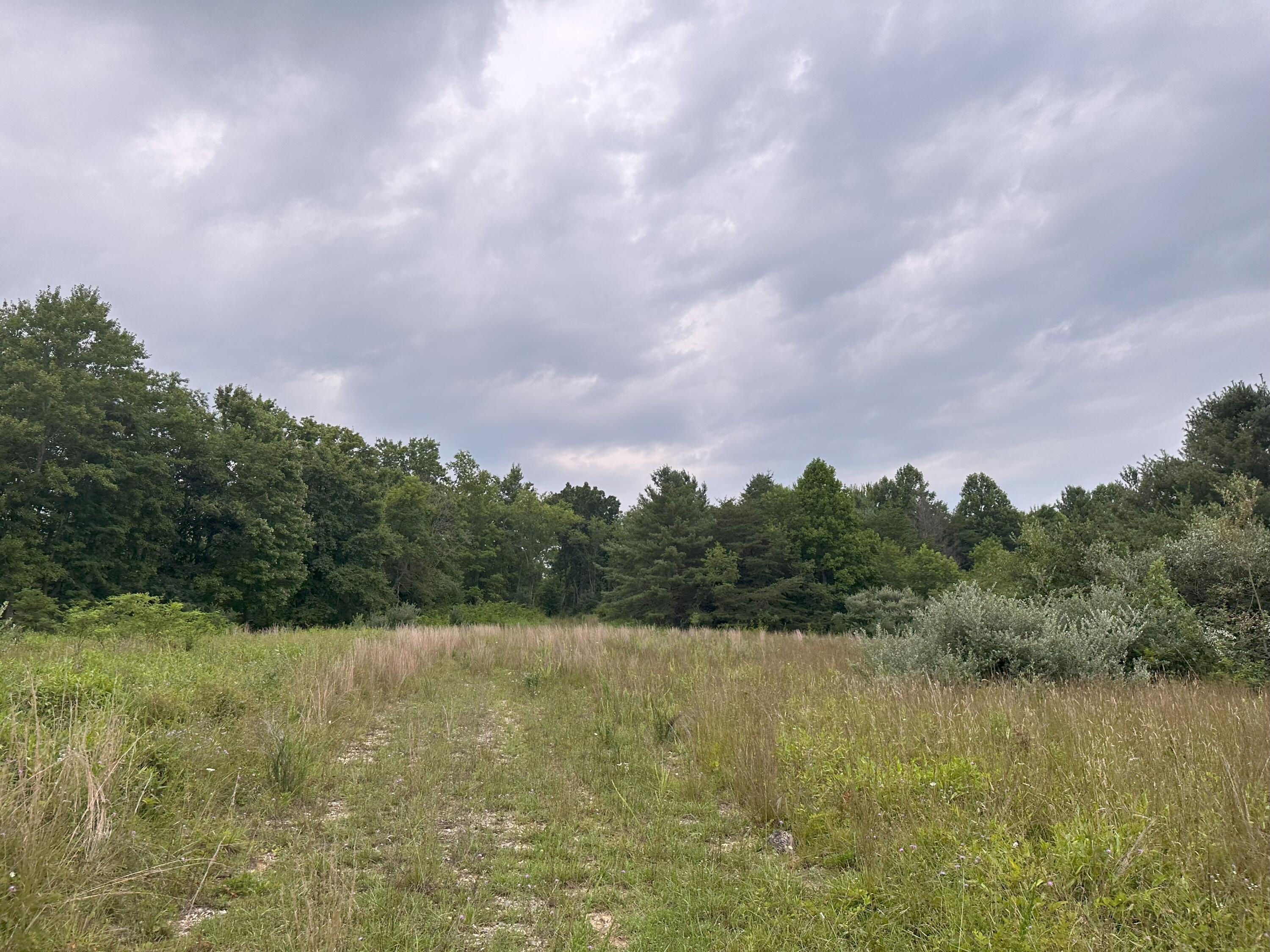 0 Claytor Road Northeast Pilot, VA 24138 - Photo 4 of 16 IMG_4753