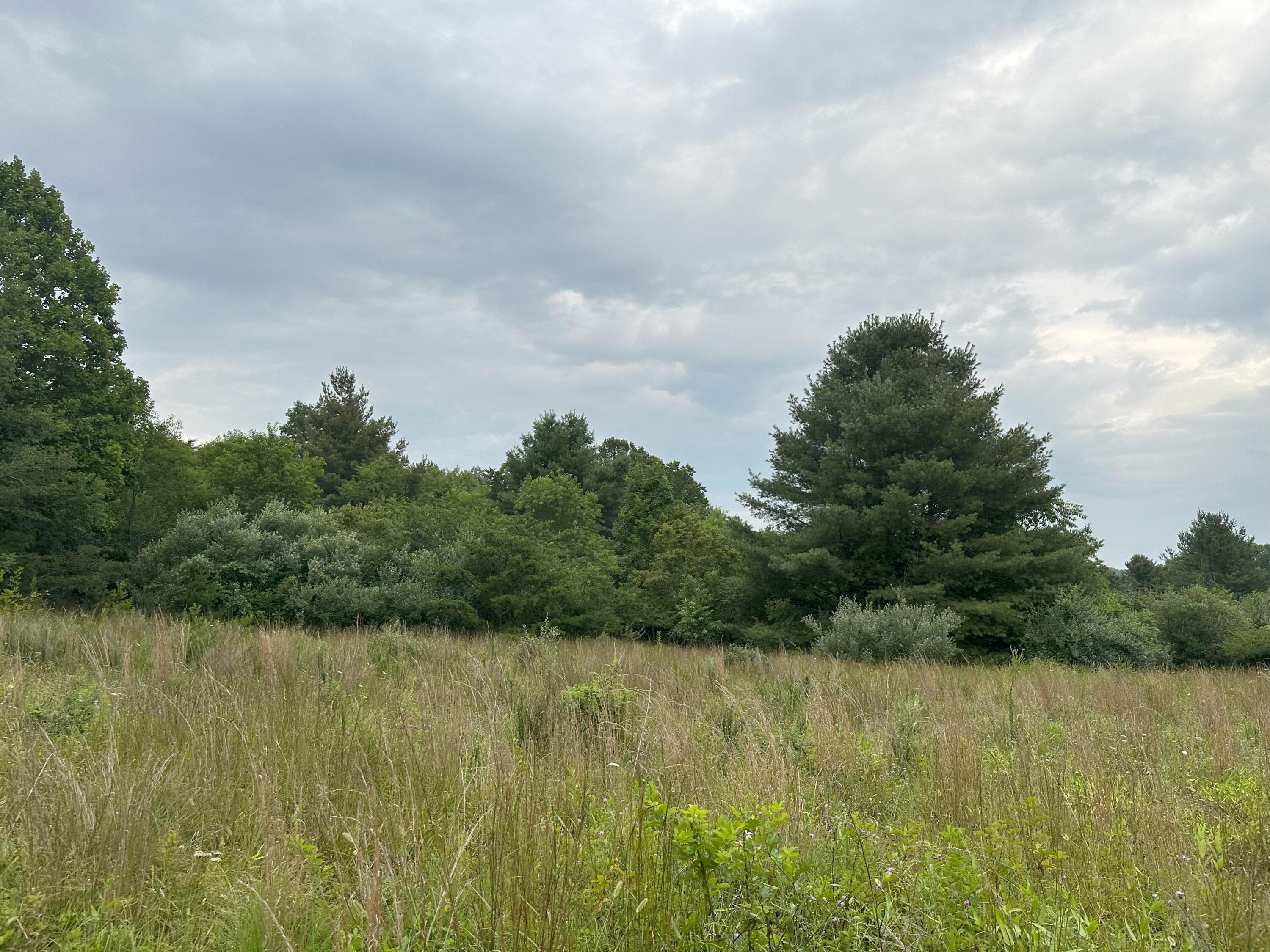 0 Claytor Road Northeast Pilot, VA 24138 - Photo 5 of 16 IMG_4764
