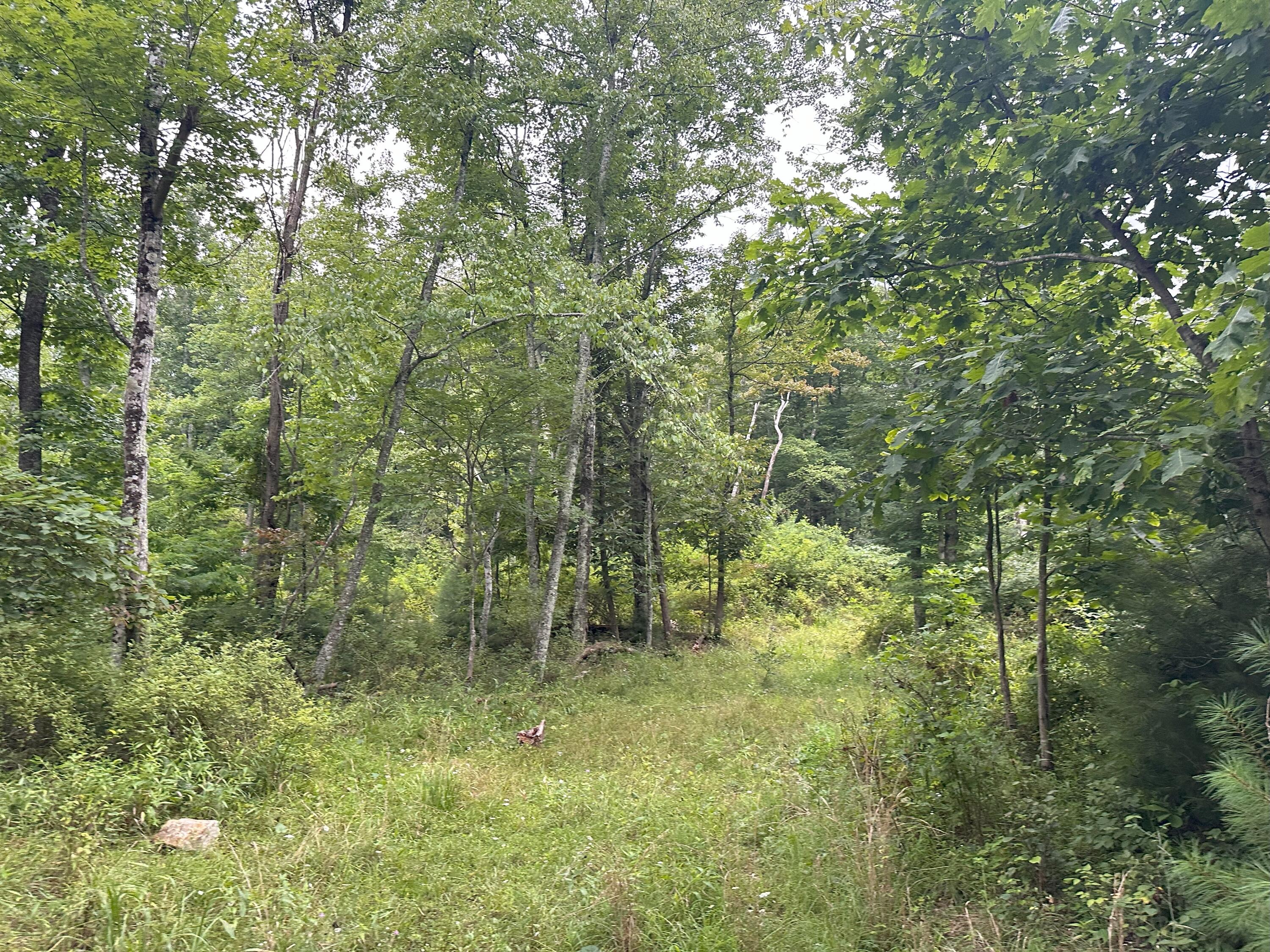 0 Claytor Road Northeast Pilot, VA 24138 - Photo 10 of 16 IMG_4773