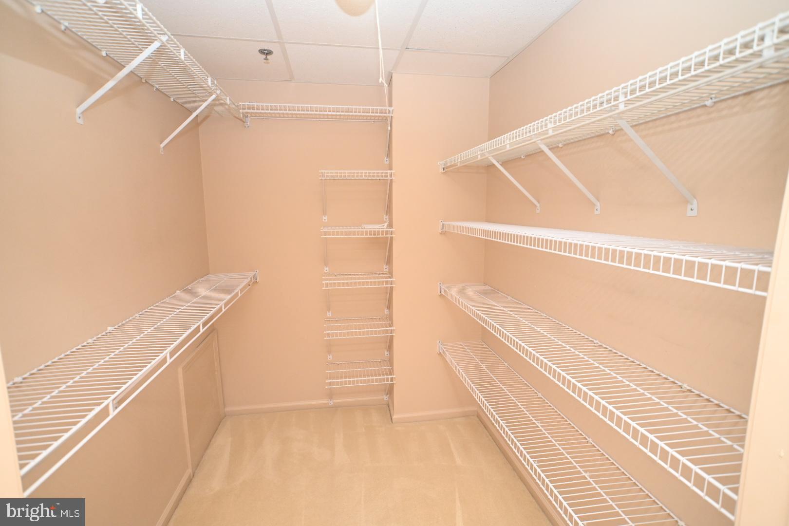 3409 Centennial Station Warminster, PA 18974 - Photo 21 of 76 a view of walk in closet