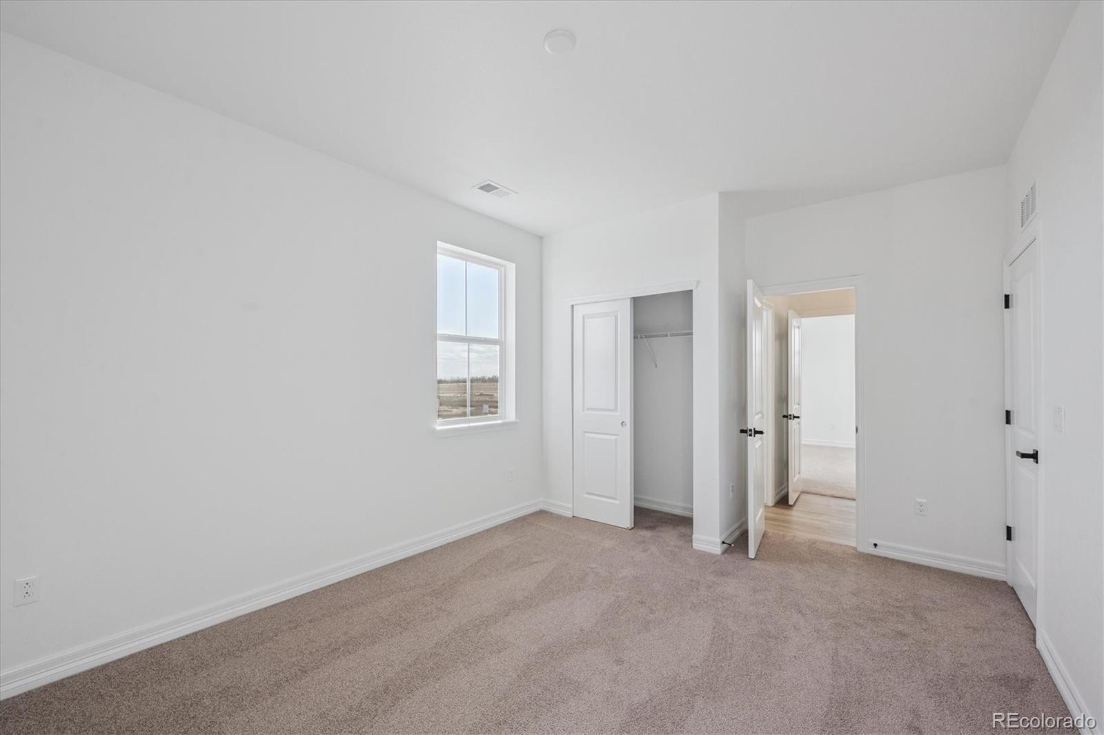 1186 Weller Street Timnath, CO 80547 - Photo 15 of 28