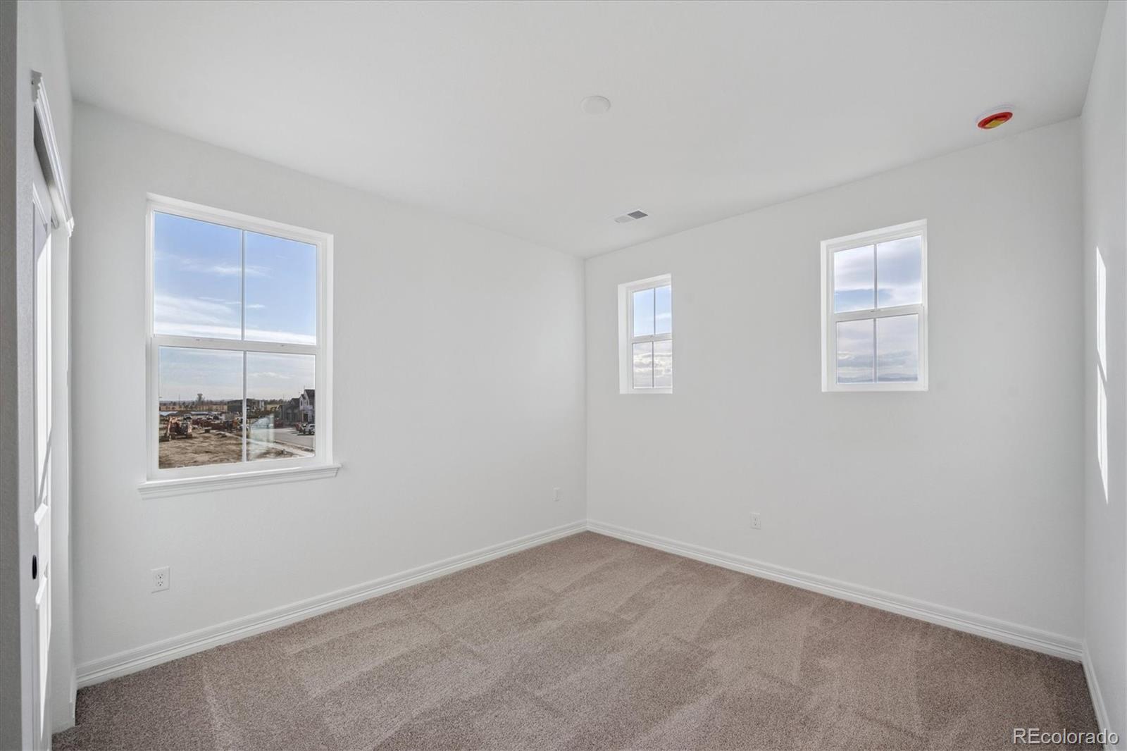 1186 Weller Street Timnath, CO 80547 - Photo 17 of 28