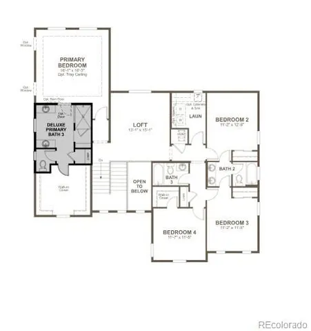 $999,950 | 1186 Weller Street, Timnath, CO 80547