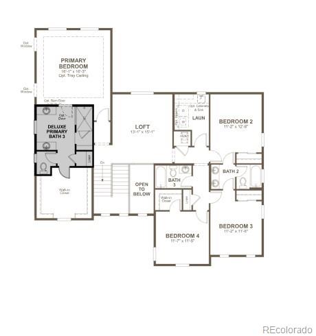 1186 Weller Street Timnath, CO 80547 - Photo 27 of 28