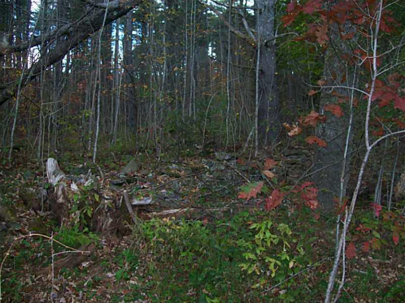 28 Branch Mills Road South China, ME 04358 - Photo 4 of 13 Yard/Garden.