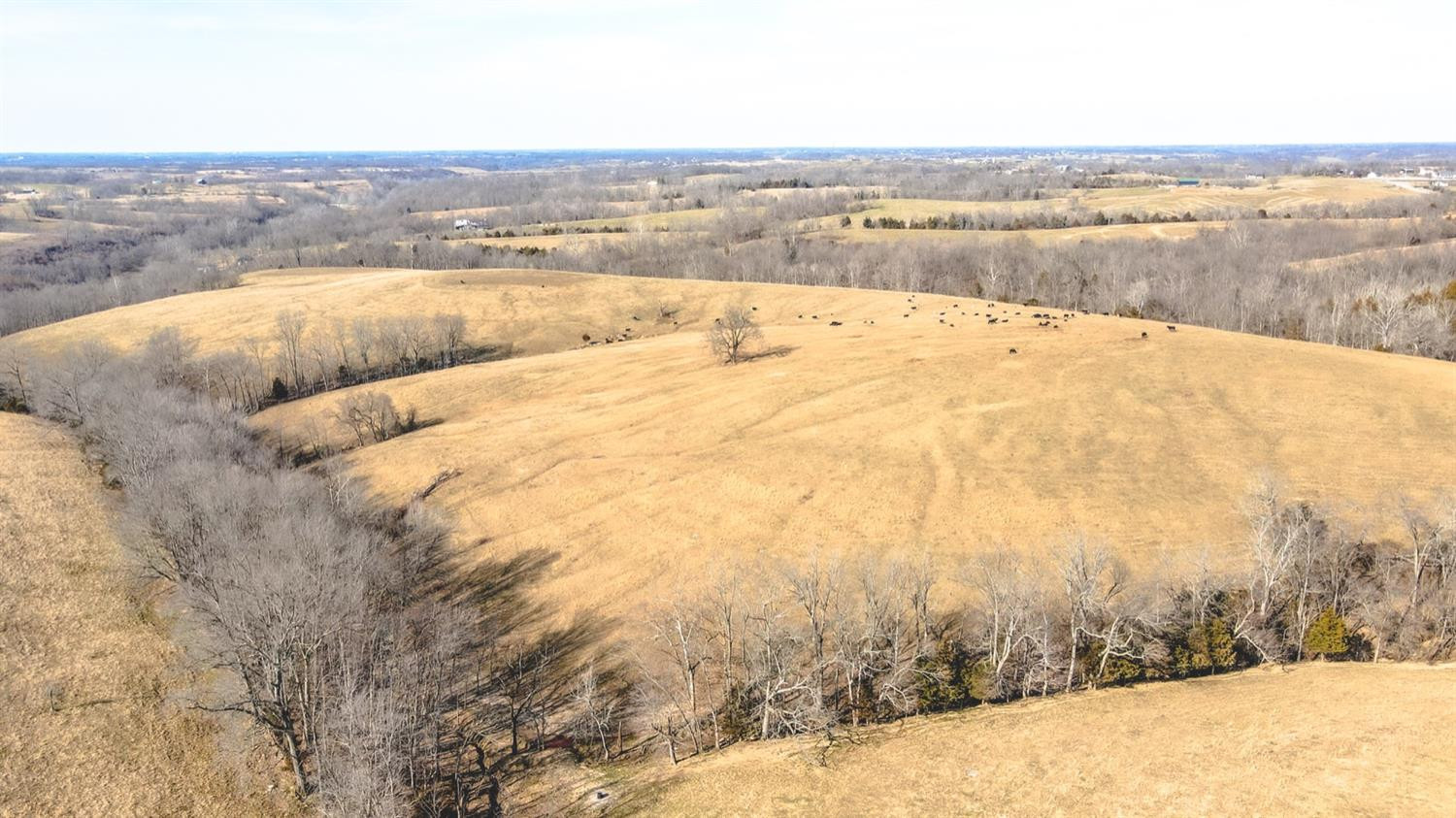 1837 Perry Rogers Road Lancaster, KY 40444 - Photo 56 of 61 Photo 56