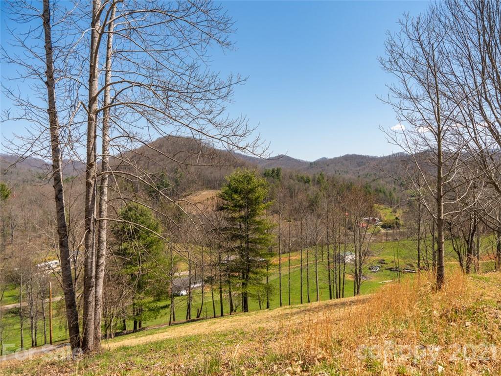 149 Jordan Branch Road Mars Hill, NC 28754 - Photo 13 of 19 Gallery Image 13