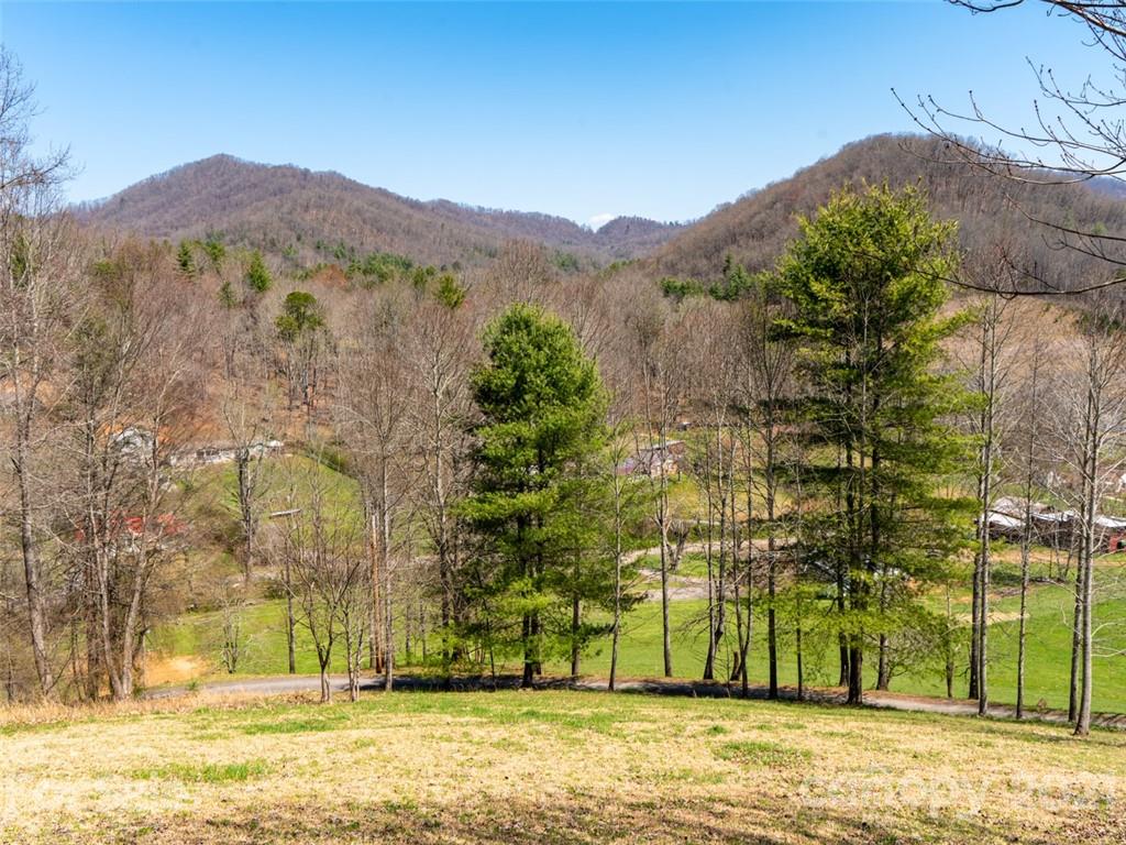 149 Jordan Branch Road Mars Hill, NC 28754 - Photo 15 of 19 Gallery Image 15