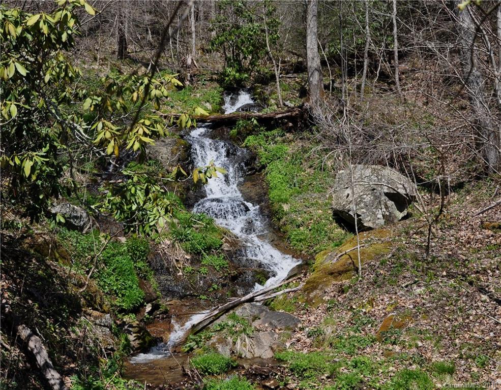 Tbd Roaring Fork Road Hot Springs, NC 28743 - Photo 1 of 17 Gallery Image 1