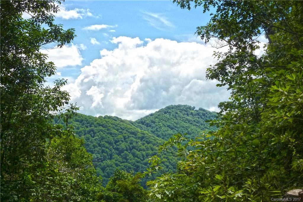 Tbd Roaring Fork Road Hot Springs, NC 28743 - Photo 11 of 17 Gallery Image 11