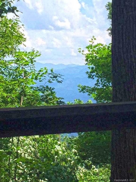 Tbd Roaring Fork Road Hot Springs, NC 28743 - Photo 13 of 17 Gallery Image 13