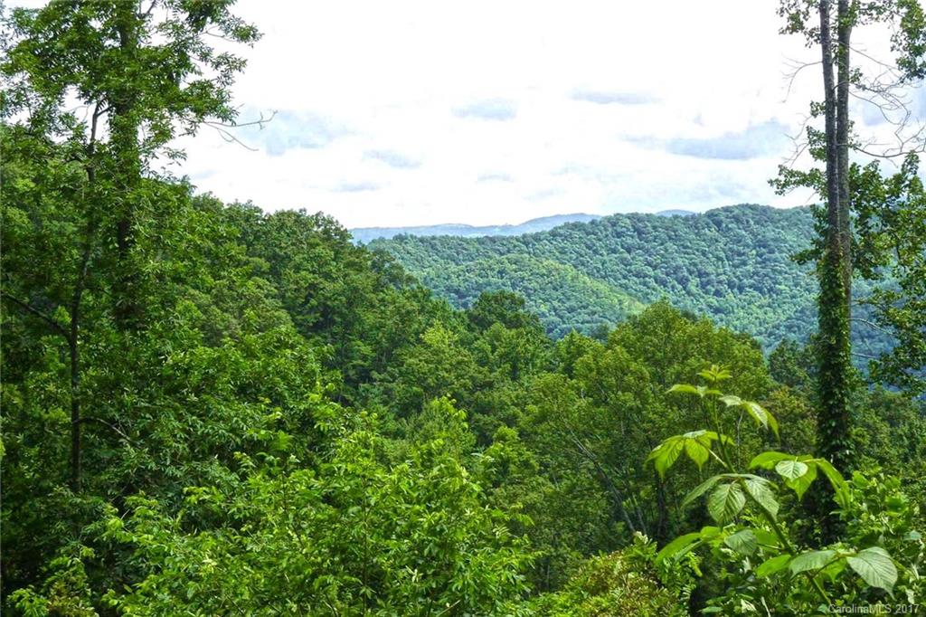 Tbd Roaring Fork Road Hot Springs, NC 28743 - Photo 15 of 17 Gallery Image 15