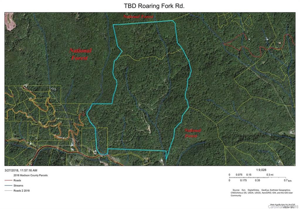 Tbd Roaring Fork Road Hot Springs, NC 28743 - Photo 16 of 17 Gallery Image 16