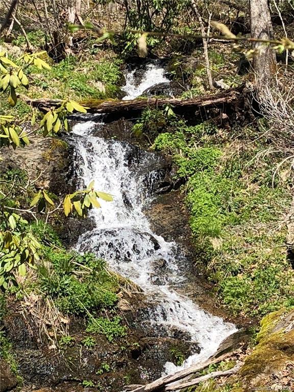 Tbd Roaring Fork Road Hot Springs, NC 28743 - Photo 5 of 17 Gallery Image 5