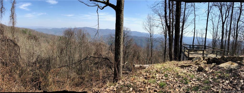 Tbd Roaring Fork Road Hot Springs, NC 28743 - Photo 6 of 17 Gallery Image 6