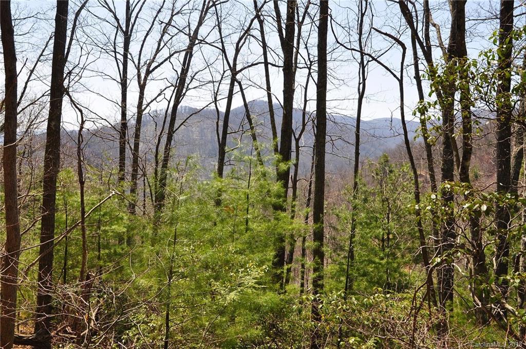 Tbd Roaring Fork Road Hot Springs, NC 28743 - Photo 7 of 17 Gallery Image 7
