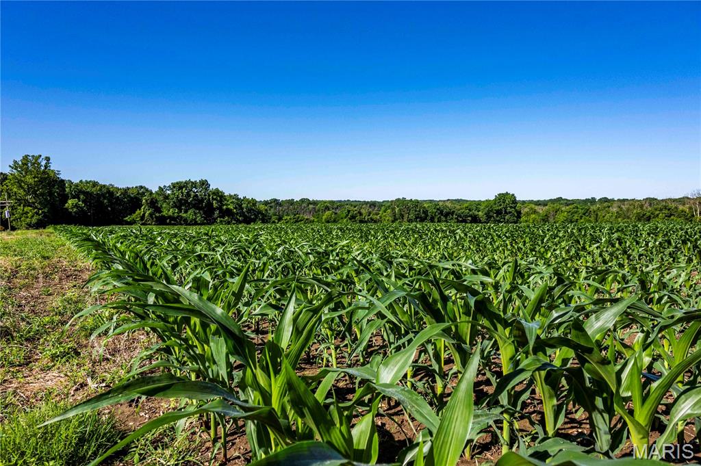 0 County 455 Road New Franklin, MO 65274 - Photo 66 of 67