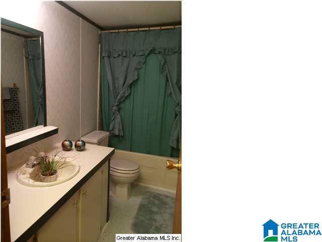 4796 Wolf Creek Road Pell City, AL 35128 - Photo 17 of 20