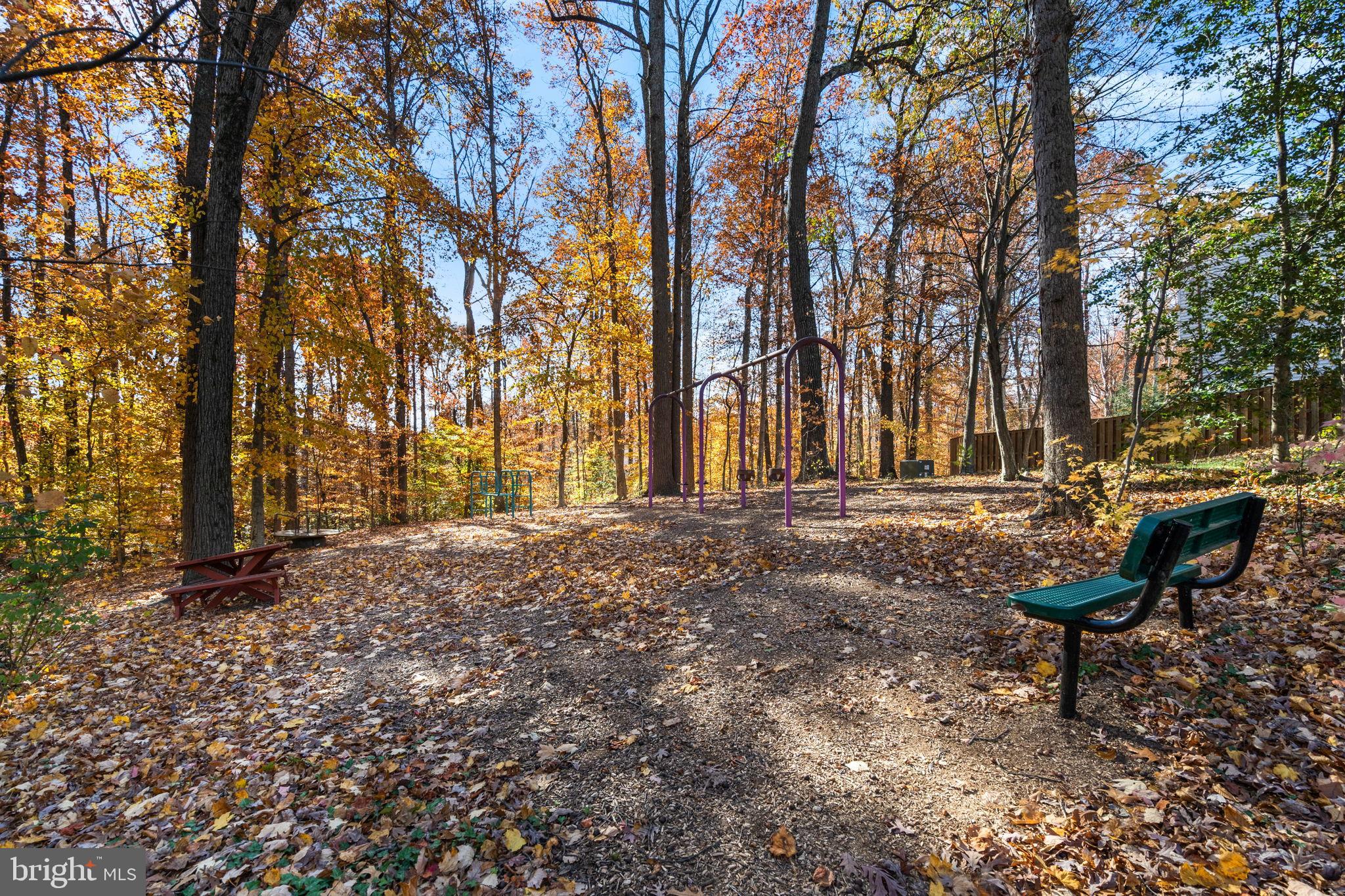 8433 Sugar Creek Lane Springfield, VA 22153 - Photo 46 of 47 Playground in peaceful nature