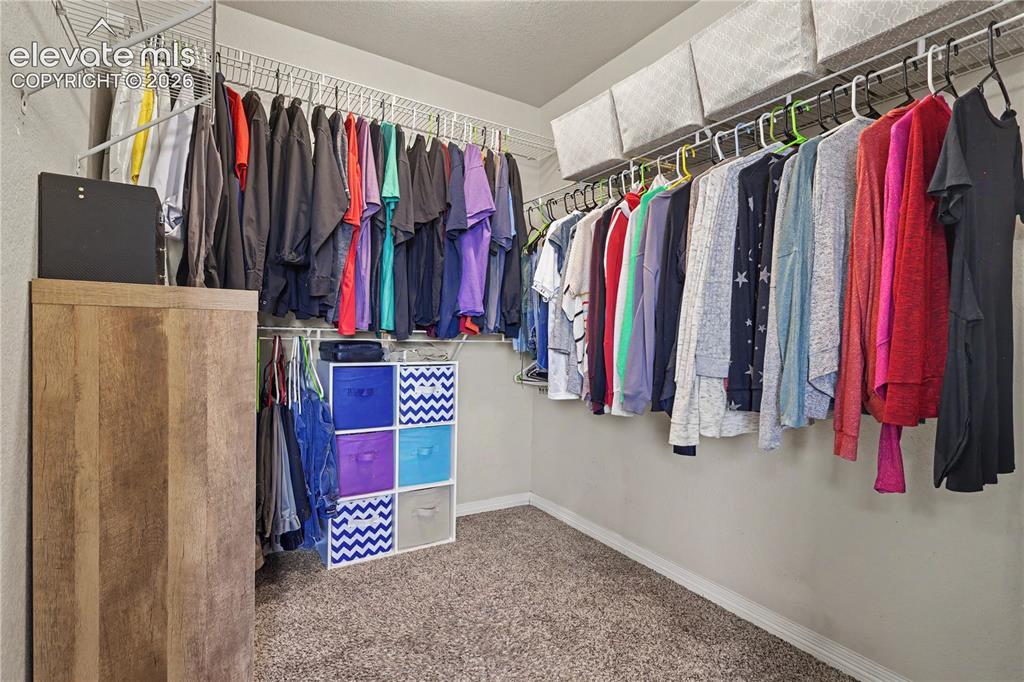 6598 Alliance Loop Colorado Springs, CO 80925 - Photo 20 of 39 Walk-in closet featuring wall-mounted wire shelving, multiple hanging rods, and neutral-toned carpeting