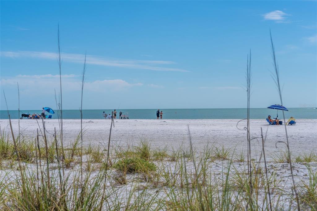 417 Poinsettia Road Anna Maria, FL 34216 - Photo 46 of 50
